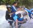 MatRempit's Avatar